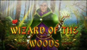 Wizard of the Woods